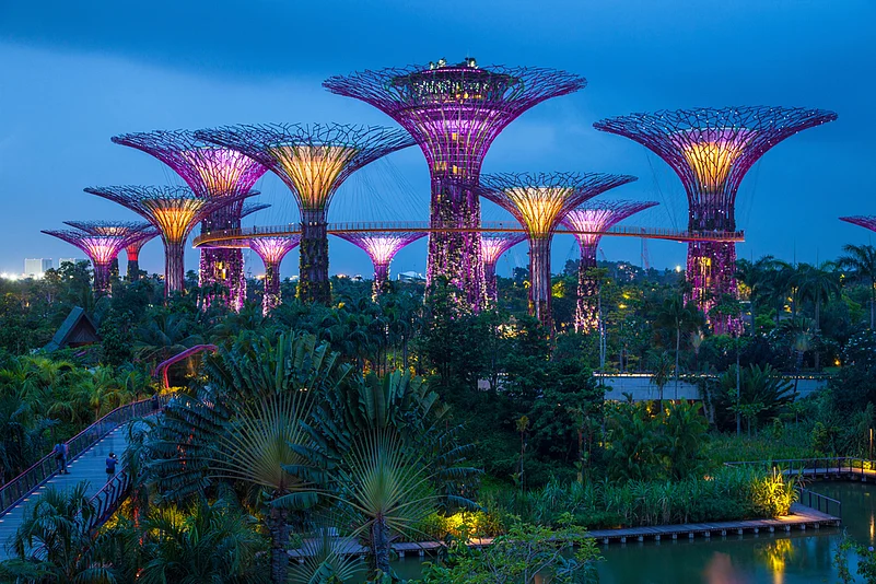 The Supertree Grove gets lit up in the evening